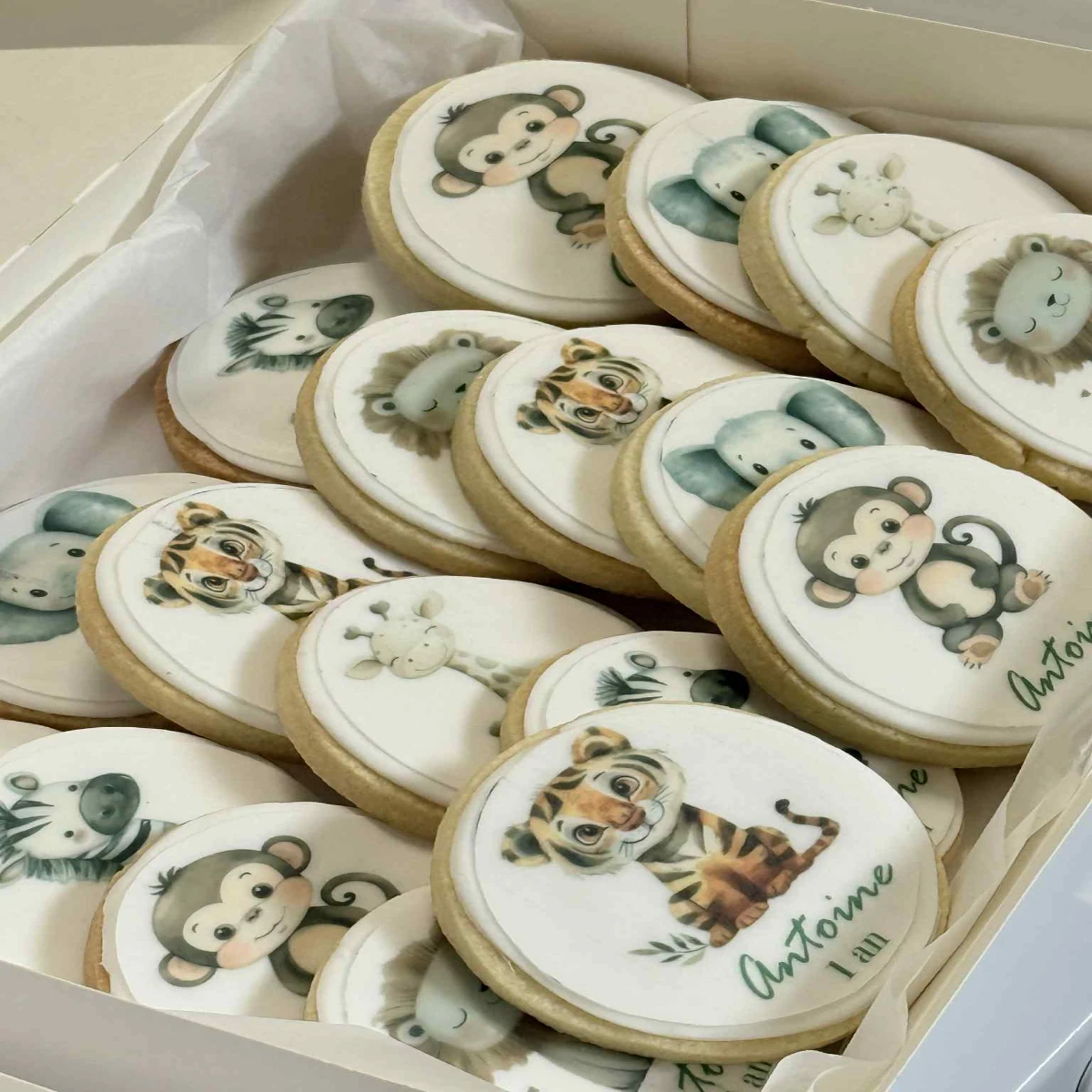 Biscuits - Image 8
