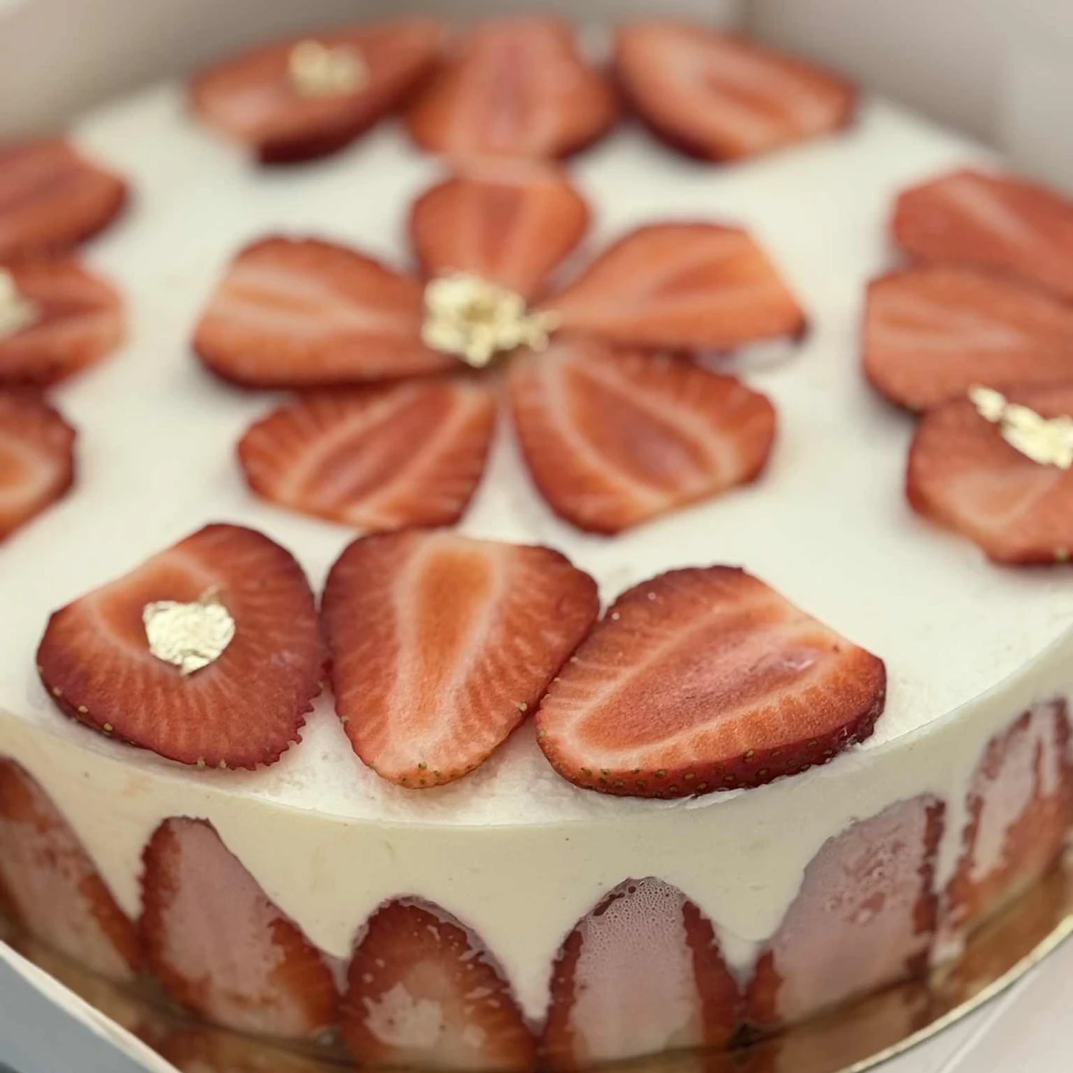 Fraisier - Image 7